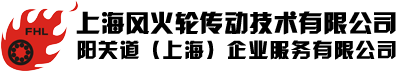 FAG_上海风火轮传动技术有限公司