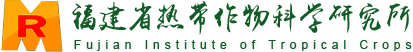 福建省热带作物科学研究所