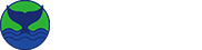 森林与鲸