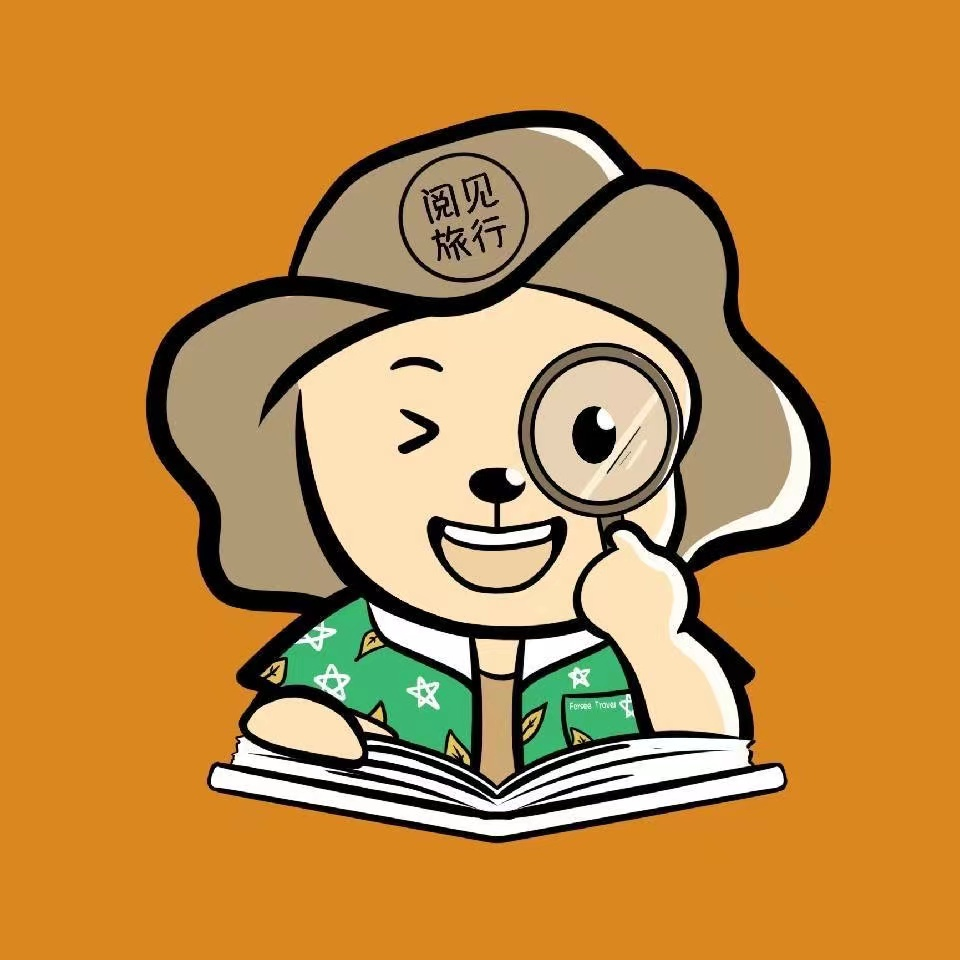 深圳市阅见旅游服务有限公司