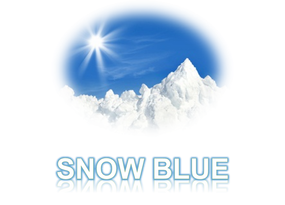 深圳市雪蓝电子技术有限公司