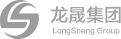 抚顺龙晟国有资本运营集团有限公司