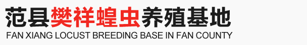 范县樊祥蝗虫养殖基地 蝗虫养殖 濮阳蝗虫养殖中心 范县蝗虫养殖中心 濮阳哪里有养殖蝗虫的,濮阳哪里有收购蝗虫的,河南樊祥蝗虫,
