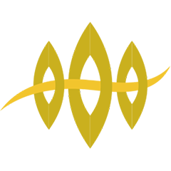 金梭网