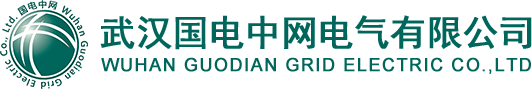 武汉国电中网电气有限公司-官方网站｜集电力检测设备｜仪器仪表｜电力在线监测系统的研发｜生产与销售为一体的高科技企业,科技为本,质量第一,服务热线:13129920858。