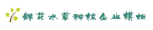 安庆市嚼肮南隔音改装