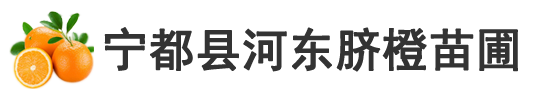 宁都县河东脐橙苗圃