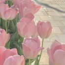 公文写作格式和范文资料库_公文堂