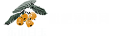 苏州东山白玉枇杷采摘网-2022年白玉枇杷上市时间-白玉枇杷价格