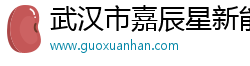 武汉市嘉辰星新能源科技有限公司