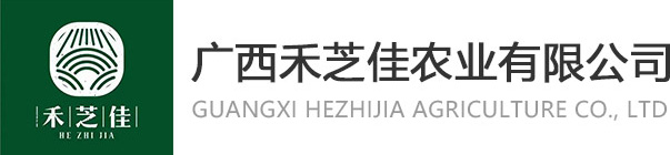 广西洗果厂-广西沃柑-广西水果加工厂-广西禾芝佳农业有限公司