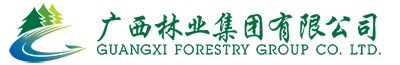 广西林业集团有限公司