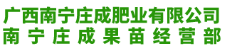 广西青柚苗|【泰国红宝石青柚品种培育】|广西南宁庄成肥业有限公司