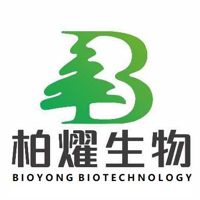 广州柏燿-首页