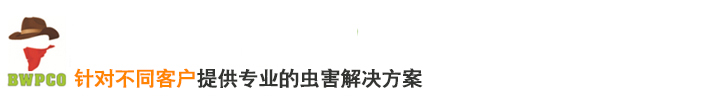 苏州除四害控虫公司_专注除虫灭虫杀虫灭鼠_邦威消杀有害生物防治有限公司