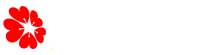 广州甜柠檬科技有限公司官网