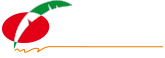 立足岭南 畅游世界 广州岭南国际旅行社官方网站