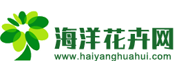值500 | 好物推荐 认真生活