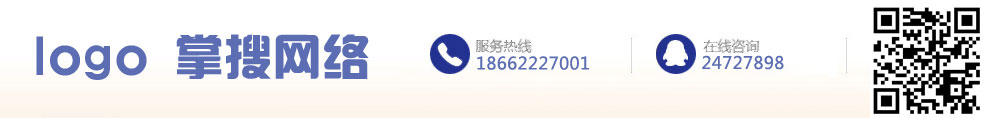 掌搜网络