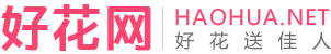鲜花网-鲜花速递网-网上花店-开业花篮-网上订花送花上门-好花网