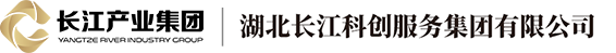 湖北长江科创服务集团有限公司