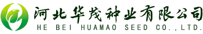 河北华茂种业有限公司-华茂种业