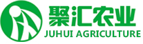 湖北酱菜厂家_湖北酱菜批发_酱腌菜品牌哪家好-湖北聚汇农业开发有限公司