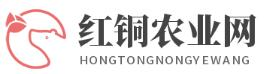 中国农业部（伴组）