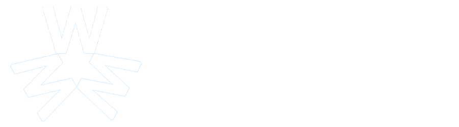 湖北万维网络有限公司 - 专业IT应用服务提供商