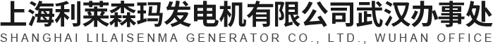 武汉发电机出售公司-湖北柴油发电机出租-利莱森玛