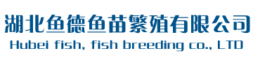 湖北鱼苗-湖北水花鱼苗-湖北夏花鱼苗-湖北寸片-四大家鱼-草鱼苗-湖北花鲢苗-湖北鱼德鱼苗繁殖有限公司