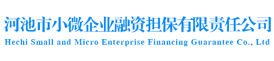 河池市小微企业融资担保有限责任公司