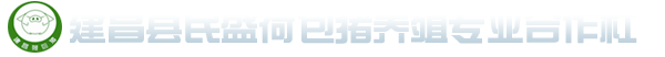 建昌县民盛荷包猪养殖专业合作社,荷包猪,建昌荷包猪,荷包猪种猪,荷包猪仔猪,东北民猪,东北民猪种猪,民猪,民猪种猪,东北黑猪,辽宁黑猪,北方香猪,黑龙江荷包猪,建昌民猪种猪
