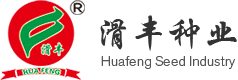 河南滑丰种业科技有限公司_玉米种子_小麦种子_育种