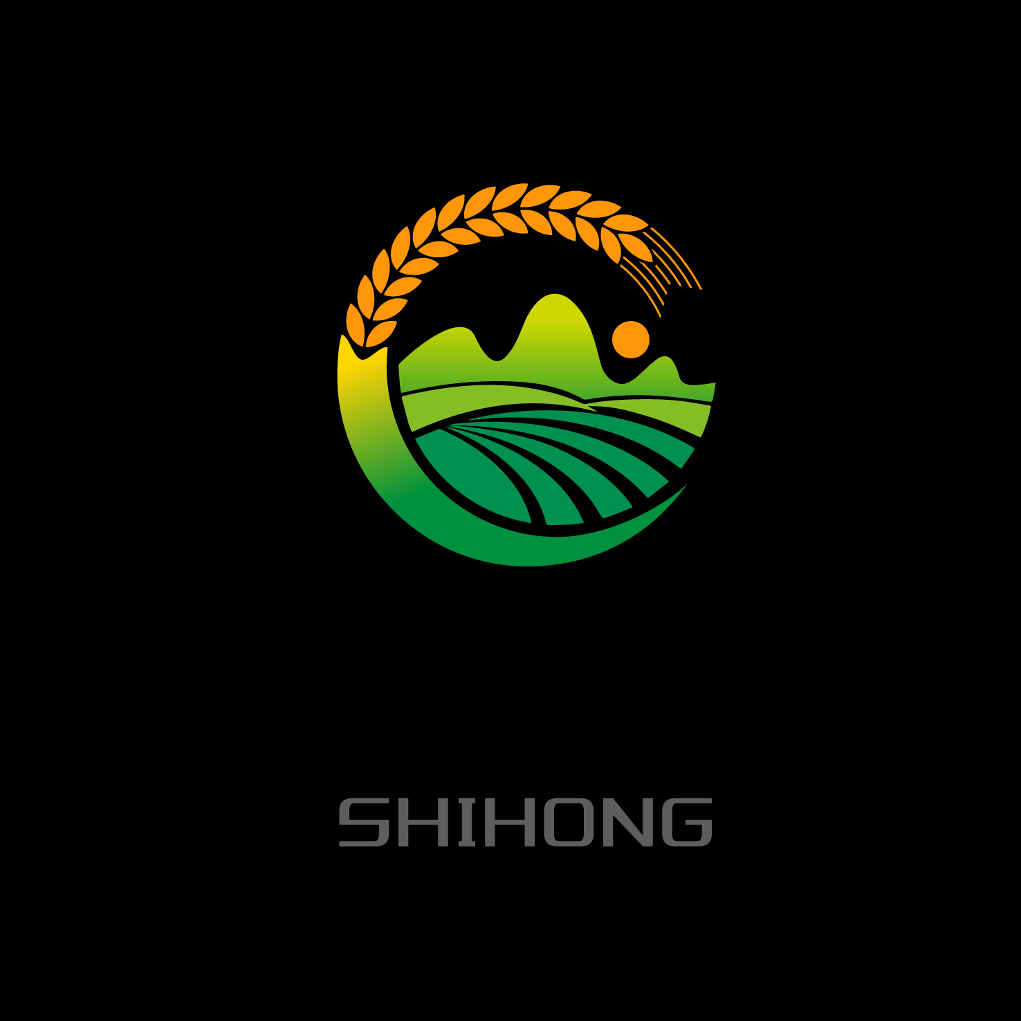 湖南仕宏环保科技有限公司_土壤重金属污染治理修复和耕地安全利用