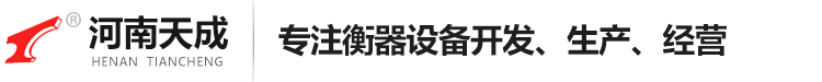 电子吊秤_直显秤_平台秤_电子汽车衡_天车秤（厂家,价钱）-河南天成实业有限公司