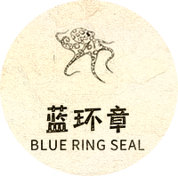 上海蓝环章信息科技有限公司-上海蓝环章信息科技有限公司
