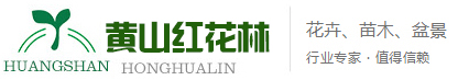 黄山红花林园林景观工程有限公司 - 黄山红花林园林景观工程有限公司