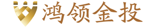 深圳市鸿领金投资咨询有限公司