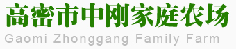 高密市中刚家庭农场——山东红叶椿，潍坊红叶椿，红叶椿种植基地，千头椿，白蜡，国槐，法桐，白蜡，香花槐，榆叶梅，黄杨球，藏香猪