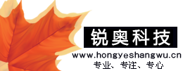 青县网站建设|沧州网站建设|印刷设计|标志设计|网页制作|包装设计|网站SEO优化――锐奥科技中心