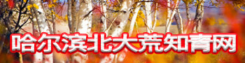 哈尔滨北大荒知青网 -  Powered by Discuz!