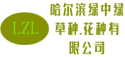 哈尔滨哪买卖草种_花种_种子?-