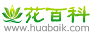 花百科-专业养花知识分享平台