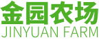 黄花丁香|金园丁香|北方甘蔗--淄博金园苗木农场