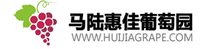 1马陆葡萄_惠佳葡萄_马陆葡萄园_上海惠嘉农副产品有限公司
