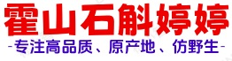 霍山石斛网 - 霍山米斛_霍山铁皮石斛_石斛价格_石斛多少钱一斤