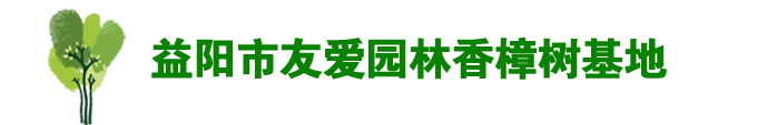 香樟树价格_香樟价格_湖南益阳香樟树-益阳市资阳区迎风桥镇友爱香樟花木基地