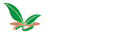 中盈厨业—节能环保 真情奉献！