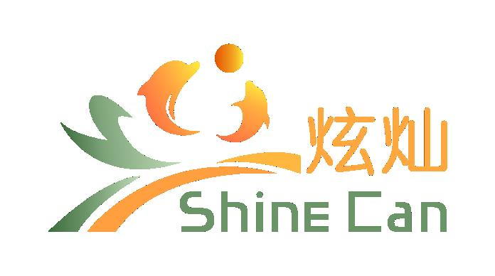 杭州炫灿科技有限公司